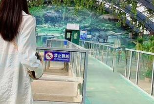 微密圈 – 快来看，林子喵Lynne全集：曾几何时的女孩，不只是在画中。